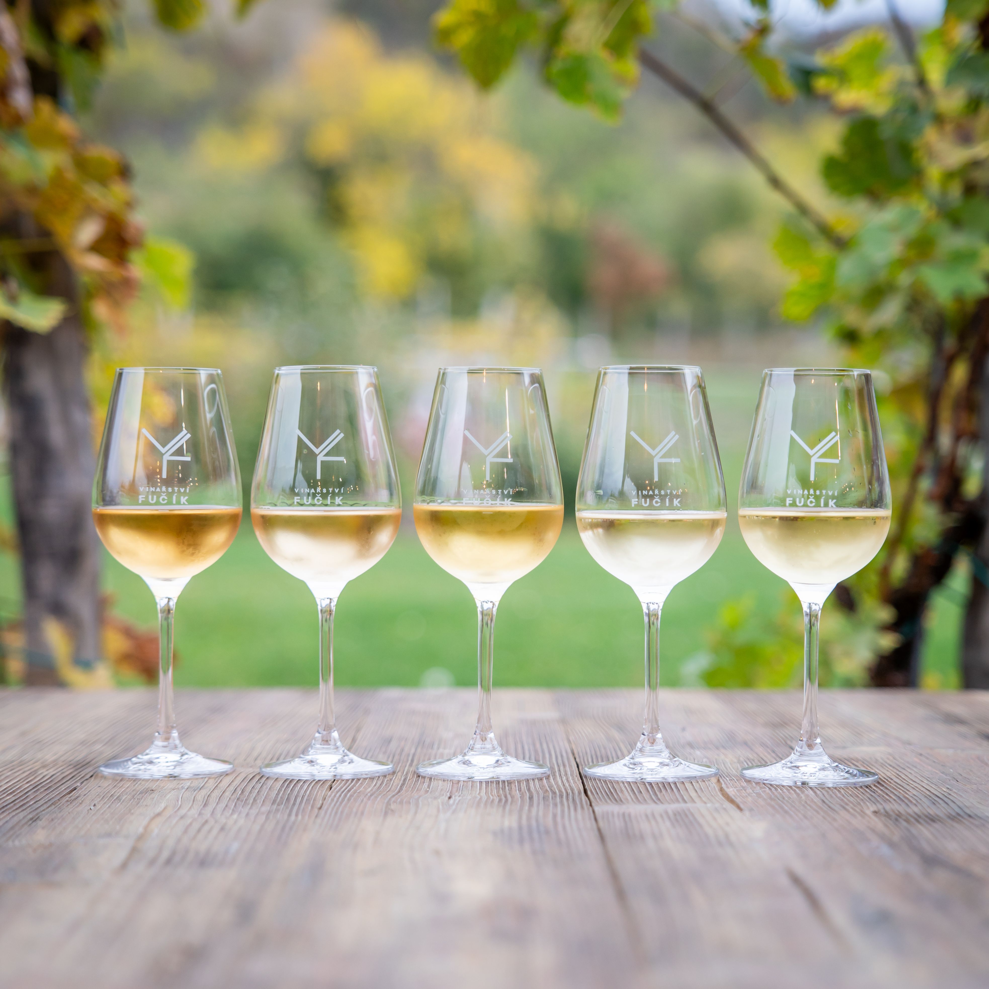 Degustační středa ve Vinařství Fučík