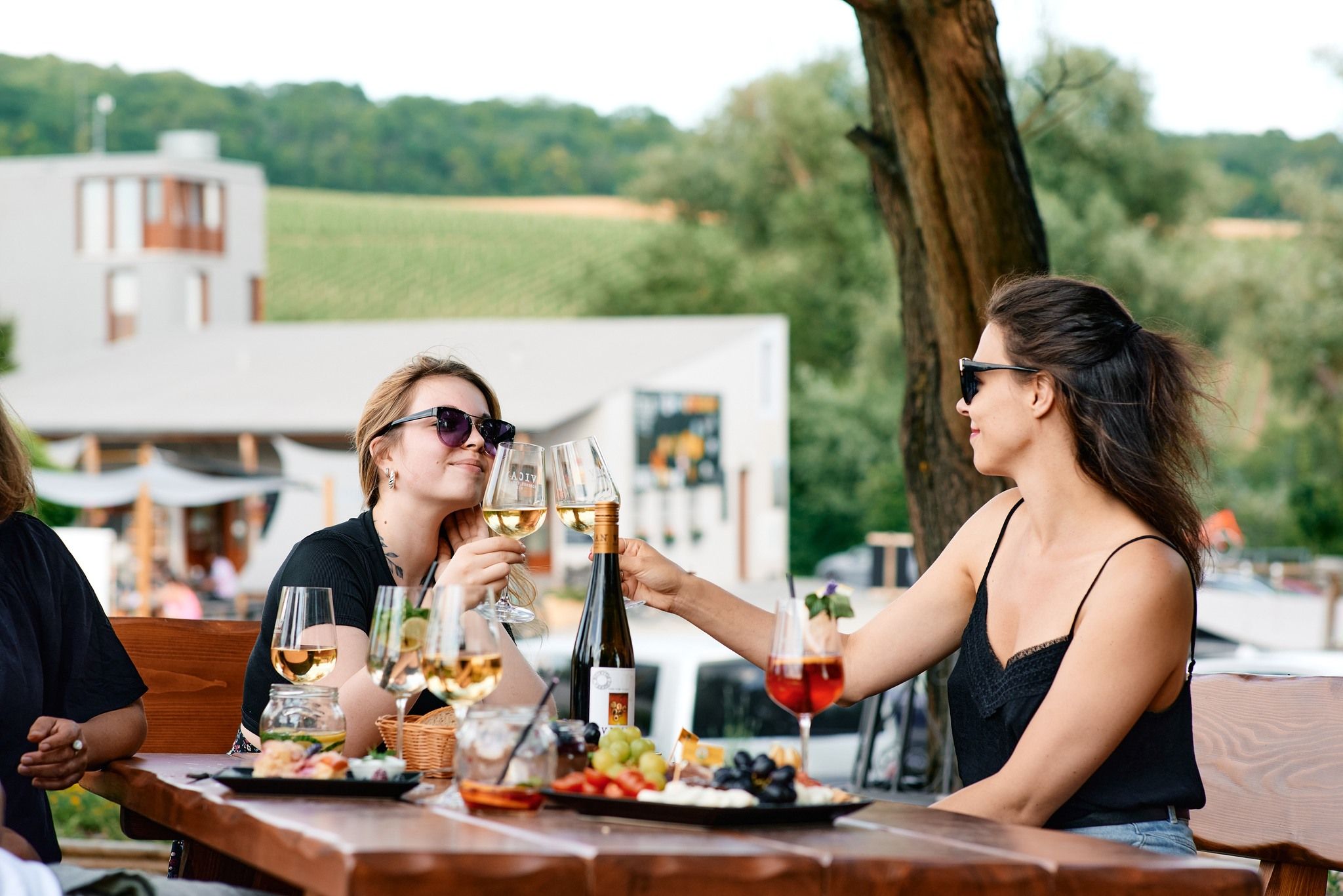 Vinařství Vican představení ročníku - degustace