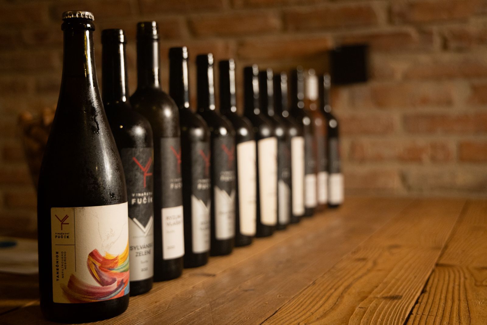 Exkurze ve Vinařství Fučík