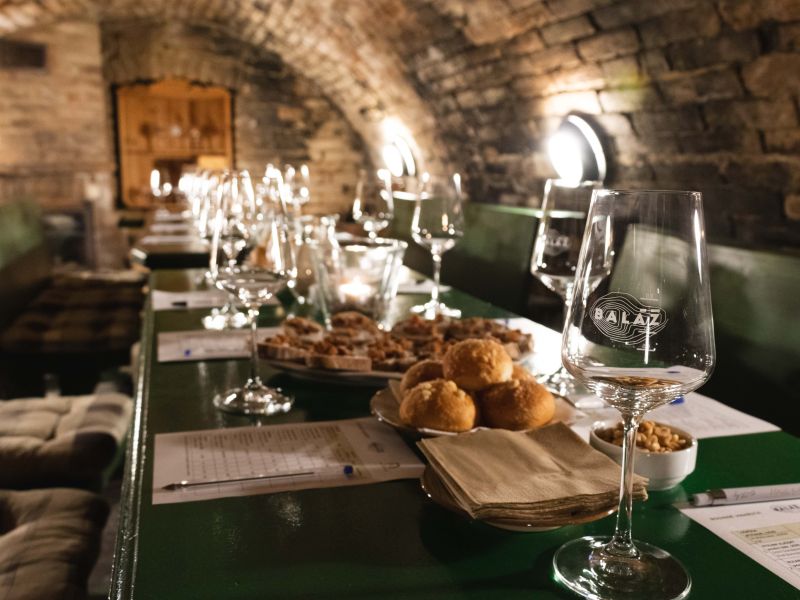 Individuální degustace v historickém vinném sklepě