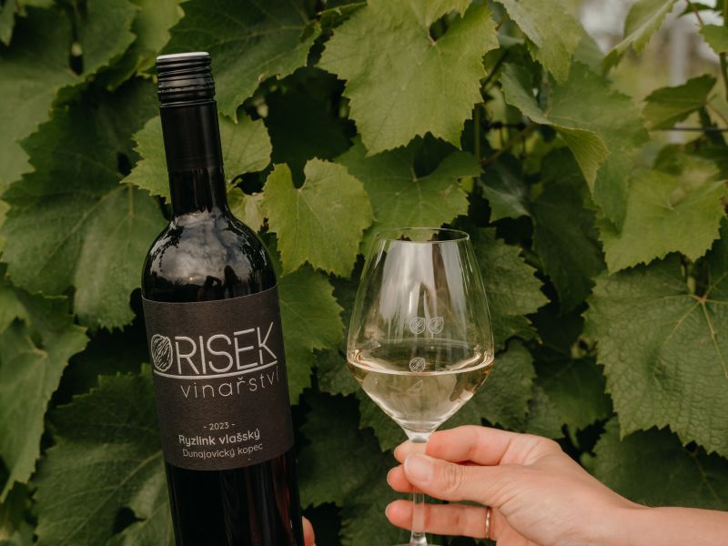 Degustace vín vinařství Orisek